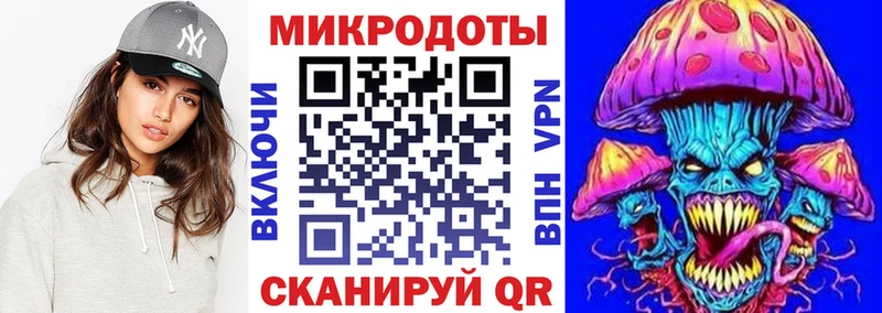 Псилоцибиновые грибы Psilocybe  Гусев 