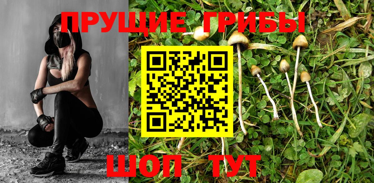 Галлюциногенные грибы ЛСД  Псилоцибиновые грибы MAGIC MUSHROOMS  где найти   Вход с VPN  Гусев 
